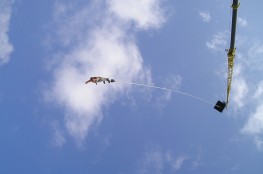 Bungee Jumping
